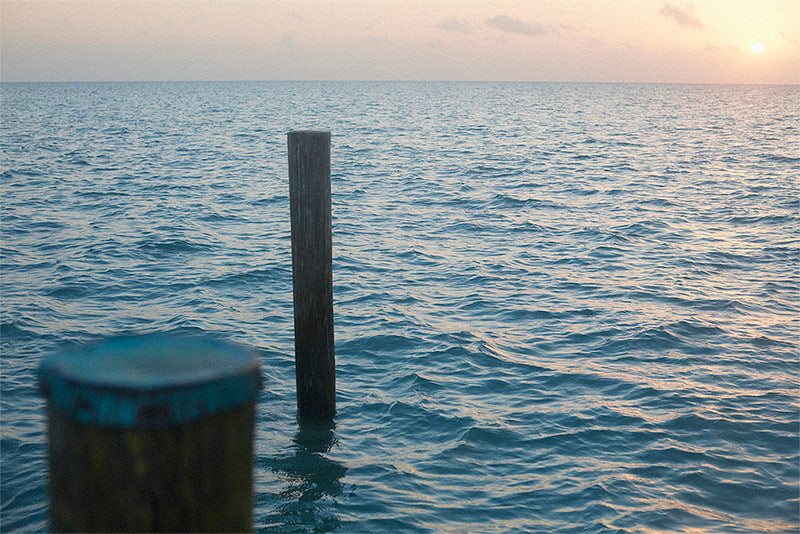 The Blue Hue - calm, cool, tranquil