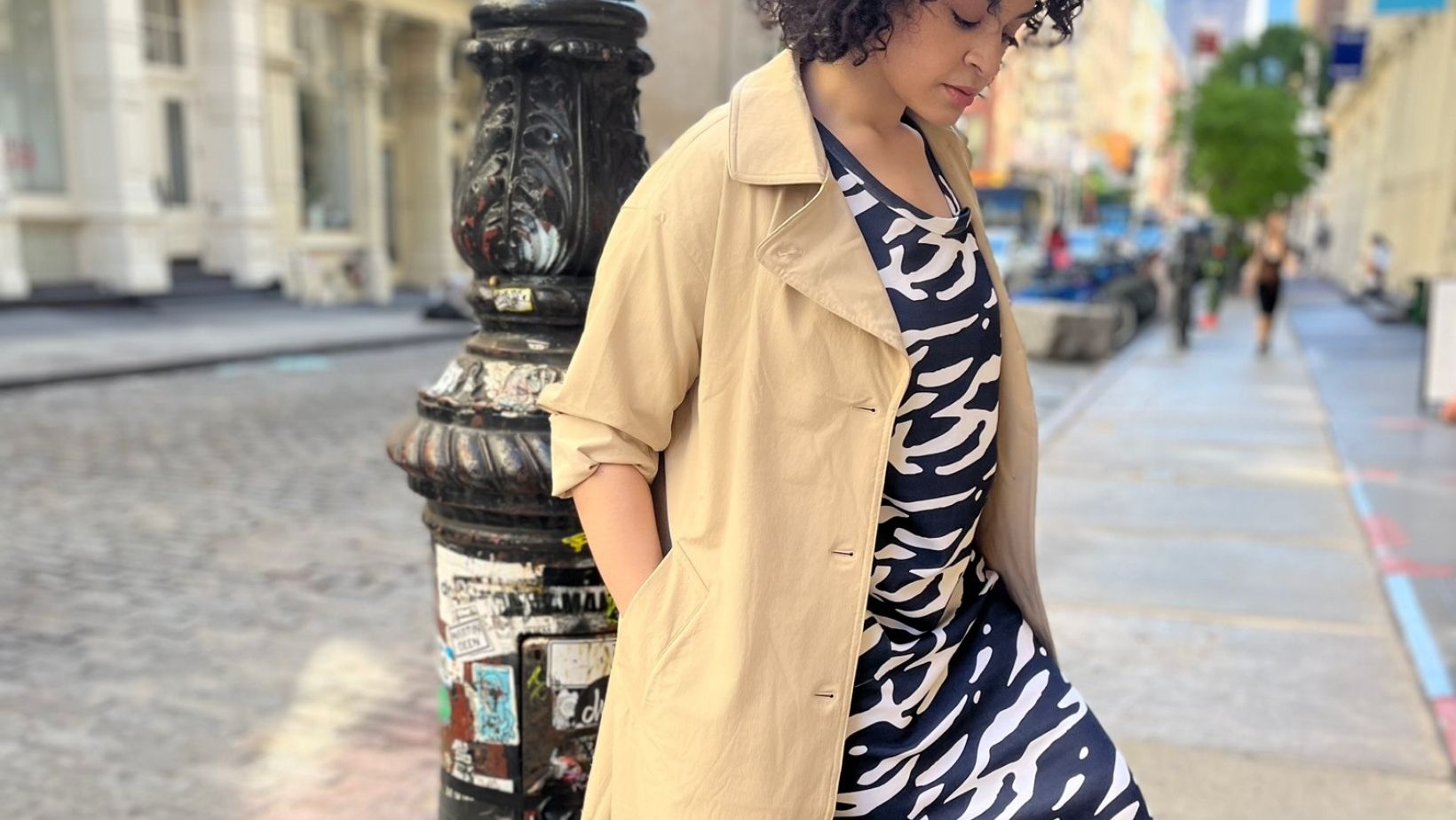 1 Zebra Dress. 5 Looks.